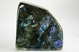 Flashy Free-Standing Polished Labradorite - Madagascar #364129-1